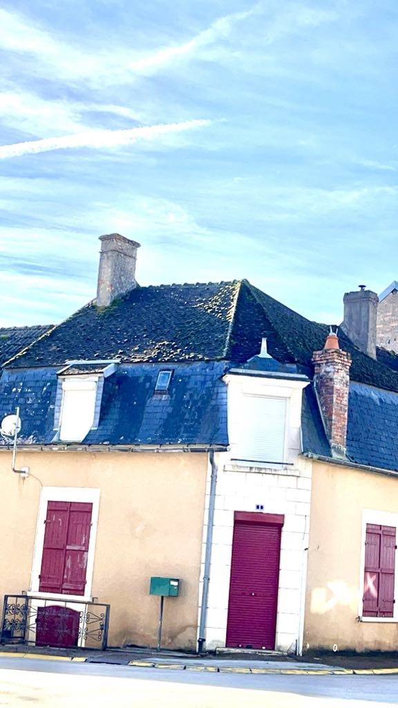 démoussage toiture