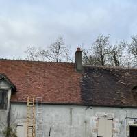 démoussage toiture