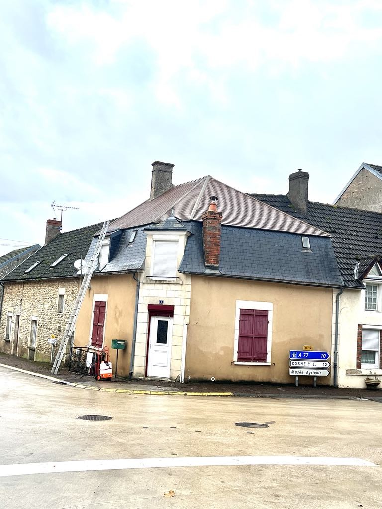démoussage toiture
