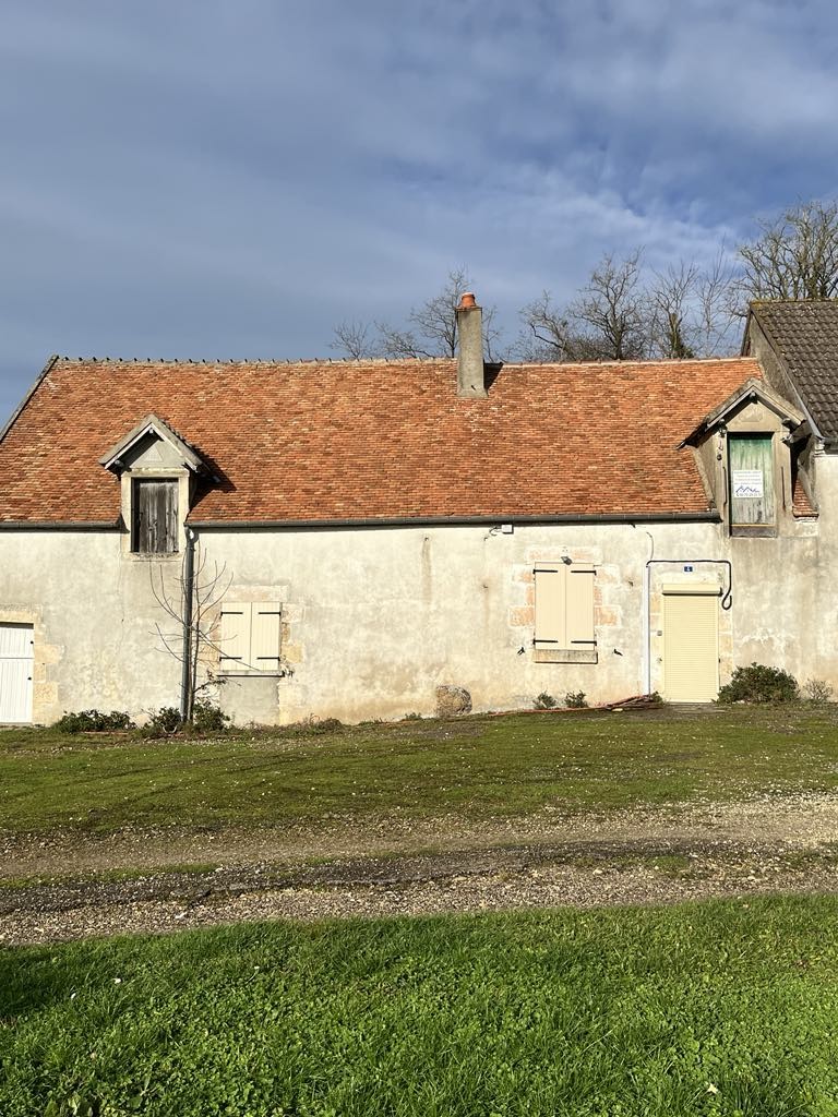 démoussage toiture