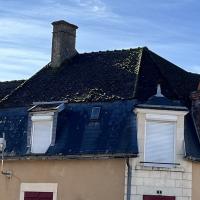 démoussage toiture