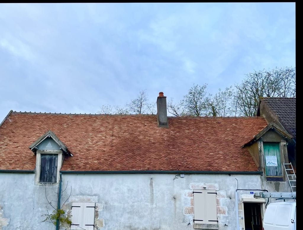démoussage toiture